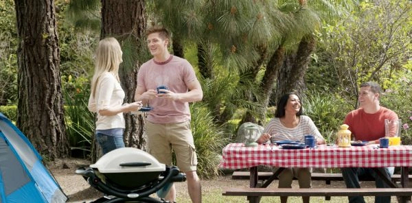 Tineri la picnic in padure cu gratar pe gaz Weber Q1000